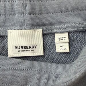 Girls Burberry Skirt